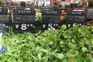 郑州：蔬菜价格止升反降 ()