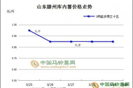 薯市成交清淡 行情持续偏弱 ()