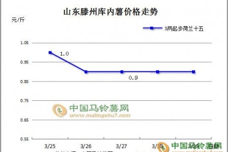 薯市成交清淡 行情持续偏弱 ()