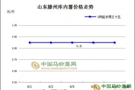 交易维持常态 局部价格微涨 ()