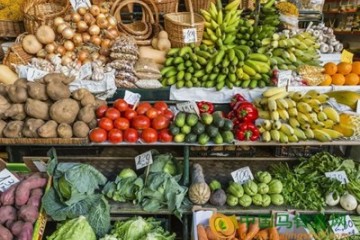 厦门：蔬菜价格回落 ()
