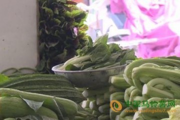 阳江市：降雨致菜价上涨 ()