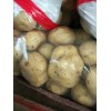 供应大量荷兰中暑早大白土豆