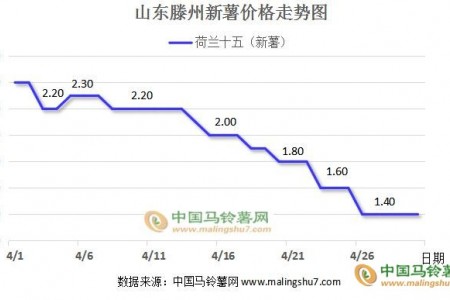 新薯价格高开低走 库薯交易渐近尾声 ()