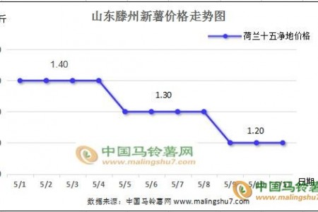 山东新薯货多价跌 贵州新薯行情向好 ()