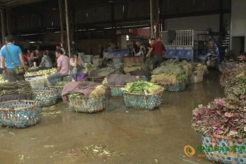 武汉白沙洲菜价遇冷 ()