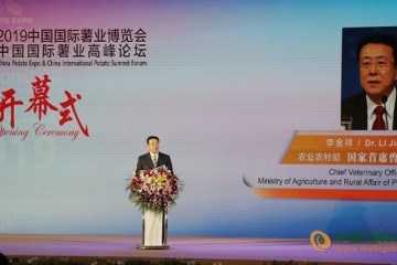 北京举办2019国际薯业博览会 ()
