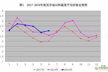 下半年青岛蔬菜贵不贵？ ()