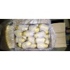 肥城土豆荷兰十五土豆大量供应
