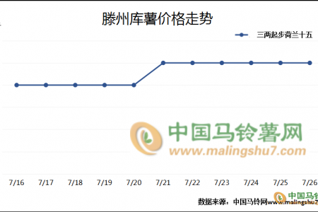 内蒙新薯价格为何难涨？ ()