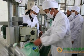 新疆马铃薯淀粉厂：大力生产马铃薯淀粉 ()