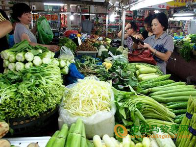 蔬菜价格