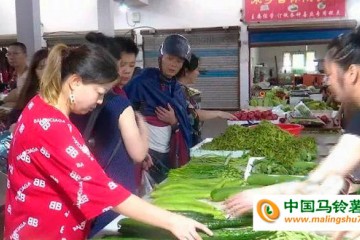 浙江：台风过境，菜价小幅上涨 ()
