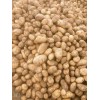 本人大量提供荷兰14     张薯226