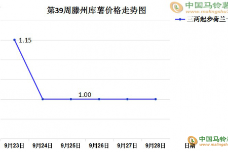 新薯交易尚可 库薯购销不旺 ()