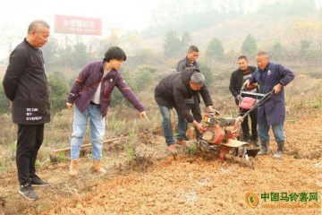 湖南邵阳：冬马铃薯栽培技术示范 ()