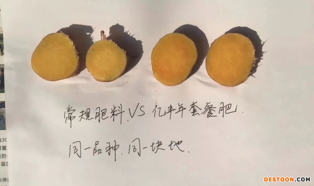 微信图片_20200413153733