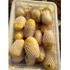 大量供应肥城土豆