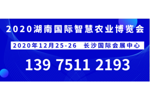 2020湖南长沙智慧交流会