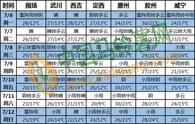 土豆天气