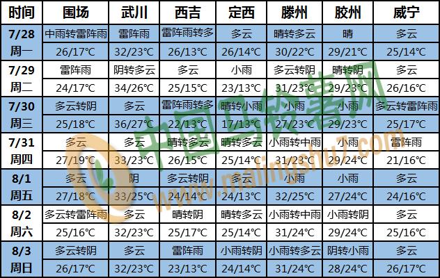 天气