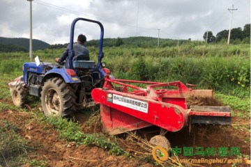 贵州威宁：科技助力马铃薯产业升级 ()