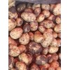 出售大量优质尤金885