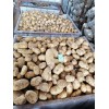 大量出售荷兰黄皮黄心土豆，市场大货、出口小货，规格齐