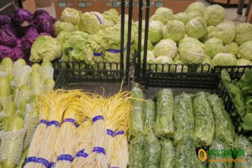 日照：蔬菜价格季节性上扬 ()