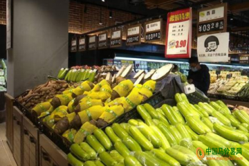 济南：蔬菜价格稳定 ()
