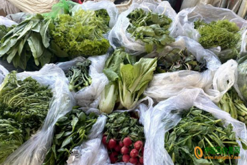 门头沟区：蔬菜供应充足 价格以涨为主 ()