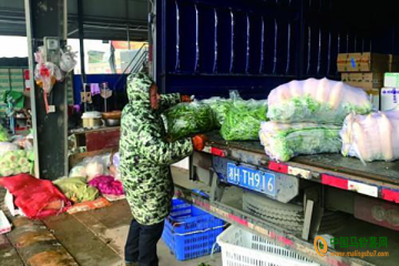 益阳：蔬菜价格涨多降少 ()