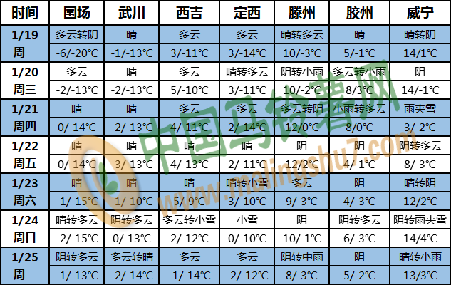 土豆天气