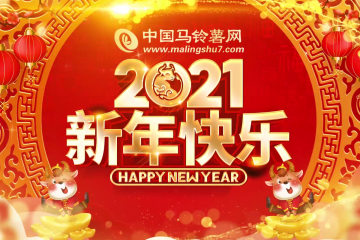 祝各位2021牛年大吉！新春吉祥！ ()