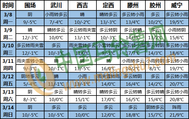 土豆天气