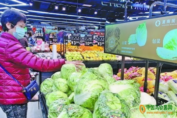 厦门：蔬菜价格下降 ()