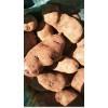 本人大量供应青薯9土豆