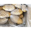 大量供应山东胶州库存荷兰十五土豆