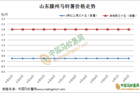 新薯上市 “薯”光已现？ ()