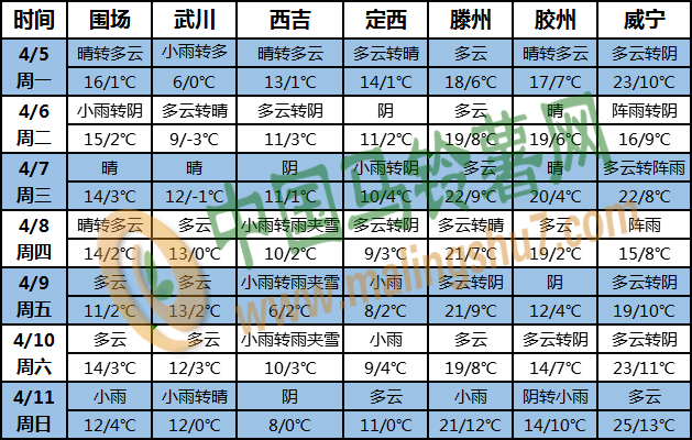 土豆天气