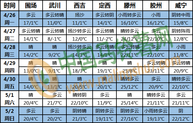 土豆天气