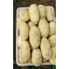 山东滕州界河荷兰十五土豆大量供应