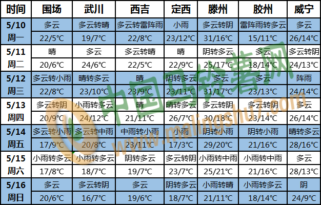 土豆天气