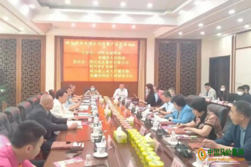 双城区：举行马铃薯产业发展论坛 ()