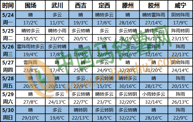 土豆天气