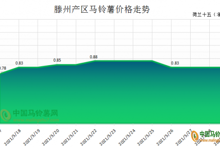 薯市购销一般 价格落后持稳 ()