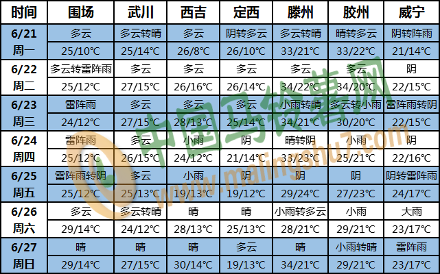 土豆天气