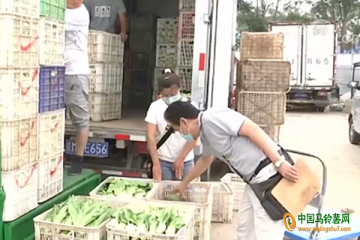 6月全国蔬菜价格持续季节性回落 ()