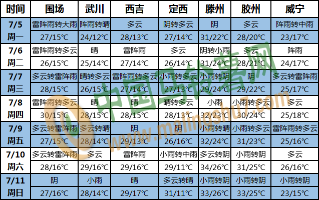 土豆天气