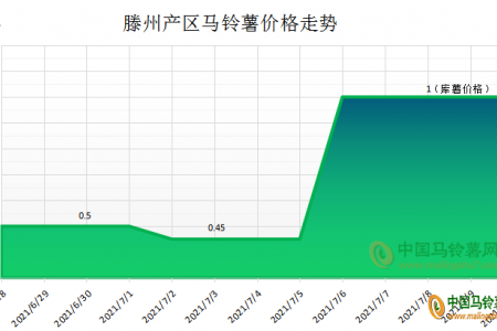 供大于需 薯价或继续震荡 ()